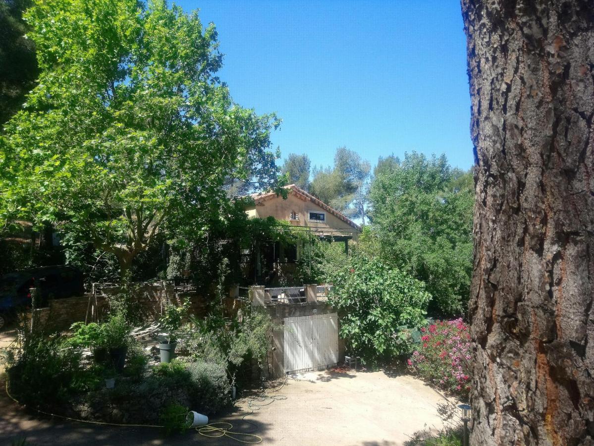 Maison De Charme Avec Piscine Et Jacuzzi Dans Cadre Exceptionnel Proche Marseille Mirabeau Buitenkant foto