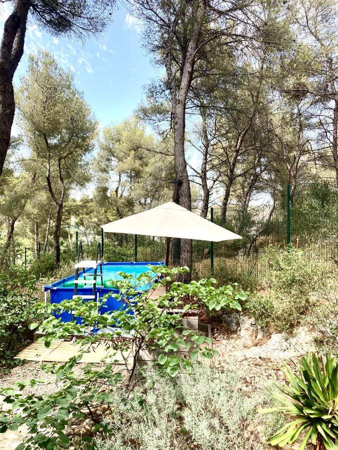 Maison De Charme Avec Piscine Et Jacuzzi Dans Cadre Exceptionnel Proche Marseille Mirabeau Buitenkant foto